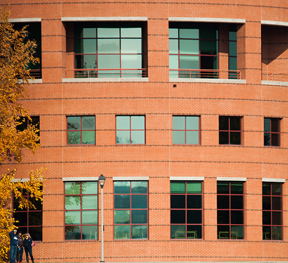 2025-26年度に新しく加わる教員たちの顔写真。